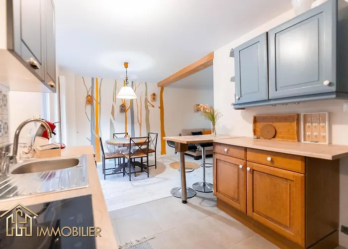 Appartement Domaine De La Source 4 Personnes Au Calme Barr